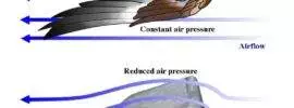 A diagram illustrating the various types of air pressure, primarily in relation to wing design.