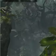 A screenshot of a forest scene with MD360Player4Android for optimal SEO.