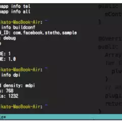 A screen shot of a python script displaying dumper information.